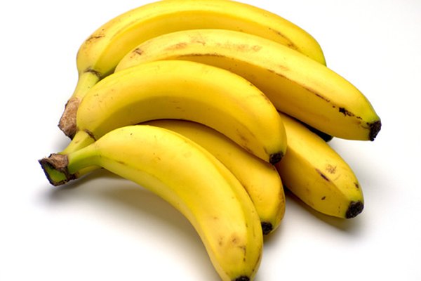Es fácil extraer el ADN de los bananos.