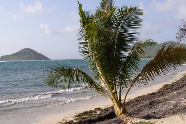 Visita Puerto Rico en tu viaje por las islas del Caribe.