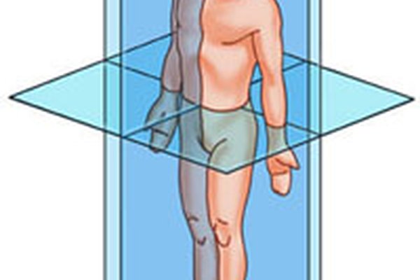 Existen tres planos cardinales en el cuerpo humano.