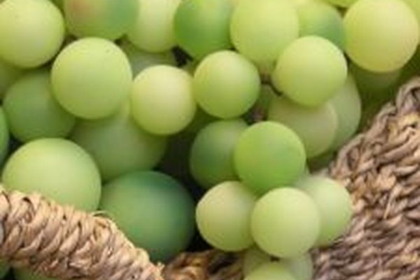 Las decoraciones con frutas artificiales son muy populares.