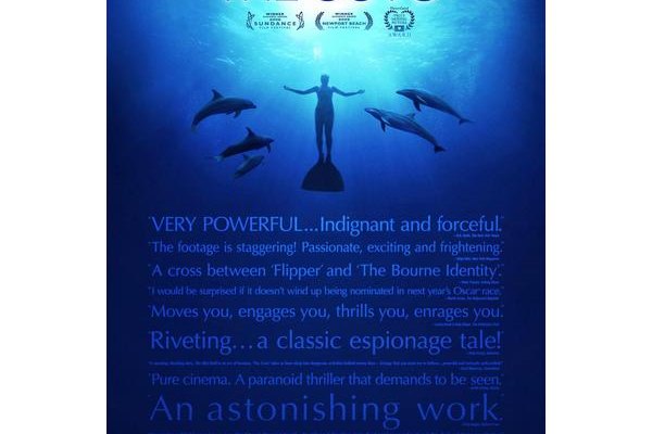 The Cove.