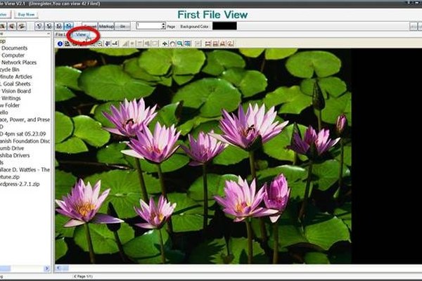 emz file viewer free download