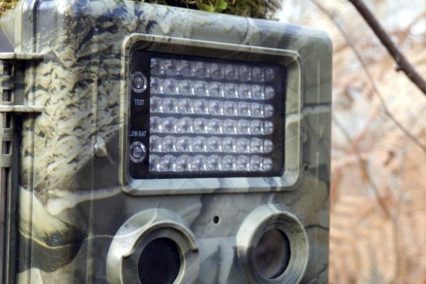 Top 5 Trail Cameras | It Still Works | Giving Old Tech a New Life