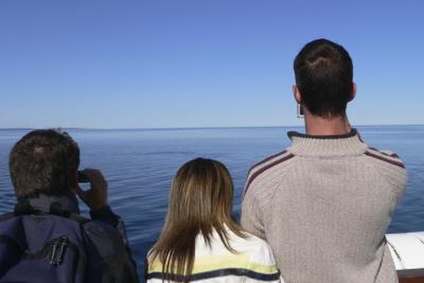 The Best Time for Whale Watching in Maine | Getaway USA