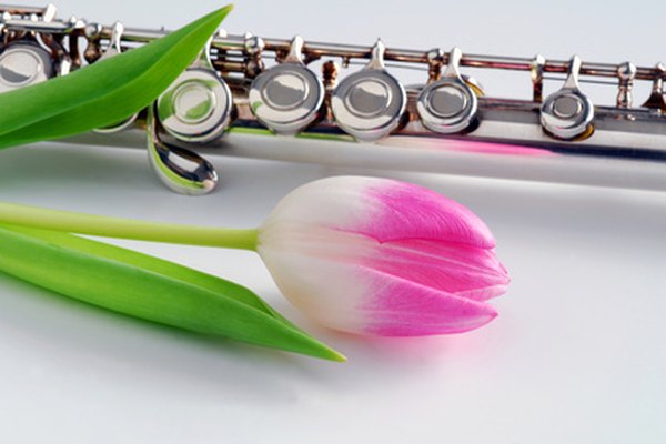 Mejora la belleza del sonido de la flauta añadiéndole vibratos.