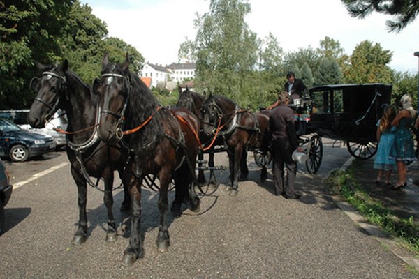 Los carros tirados a caballo aún se usan en muchos pueblos y grandes ciudades.