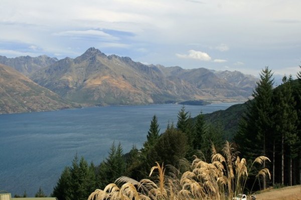 Visita Queenstown en Nueva Zelanda durante el cálido hemisferio sur de enero.
