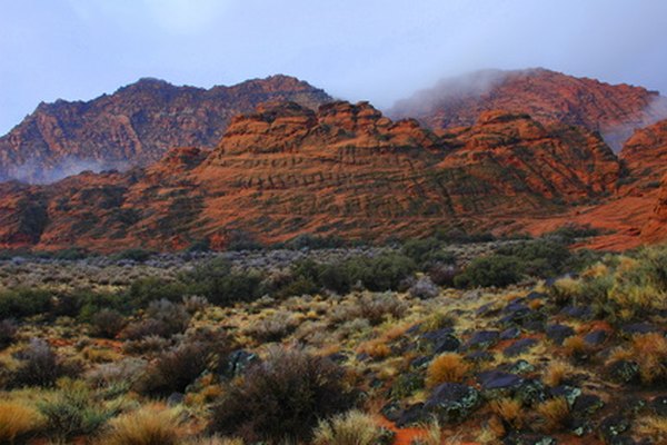 El desierto de Arizona, justo afuera de Sedona.