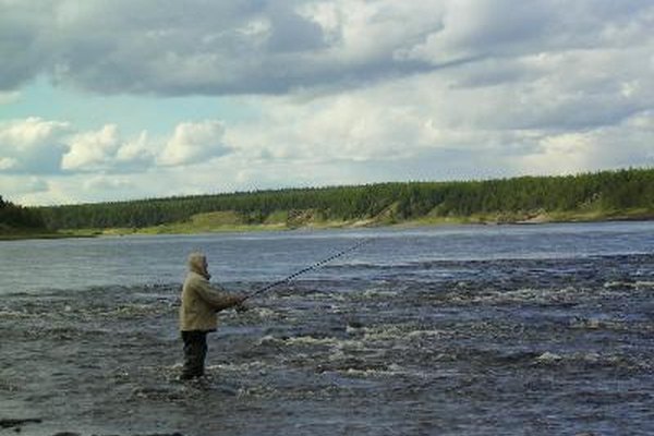 Los pescadores más profesionales y los fabricantes de varillas utilizan habitualmente las de fibra de carbono para casi todas las situaciones de pesca.