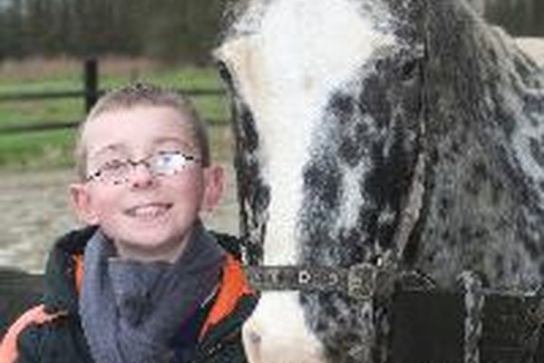 Entérate de cómo hacer un disfraz de caballo para niños.