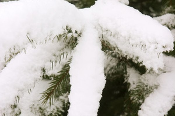 La nieve puede ser una hermosa cobertura de invierno independientemente de dónde caiga, hasta que llega la hora de quitarla.