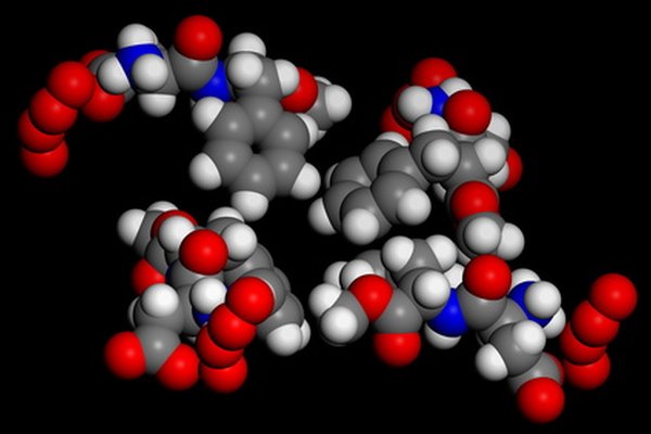 Una enzima es un tipo de proteína que cataliza las reacciones químicas.