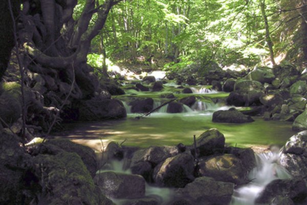 El acarreo de las aguas superficiales disuelve los elementos.