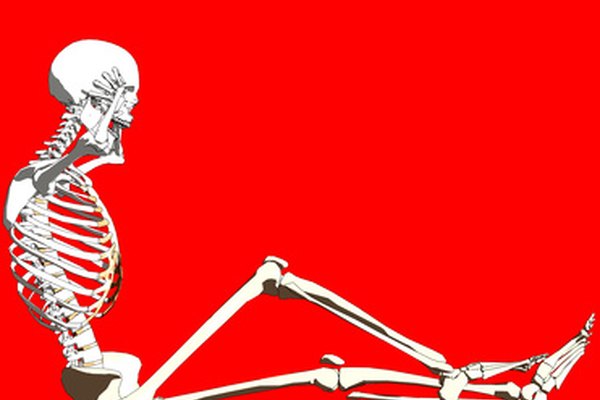 Los huesos del miembro inferior incluyen el fémur, la tibia, el peroné y la rótula.