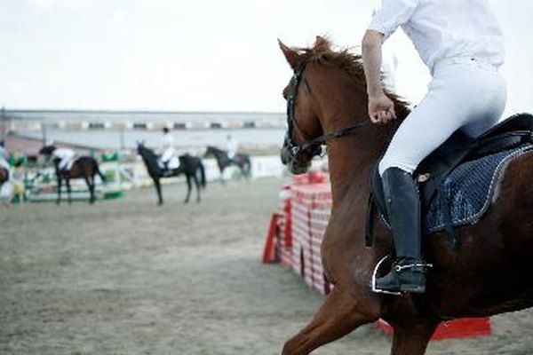 Las cebras y los caballos comparten un ancestro común.