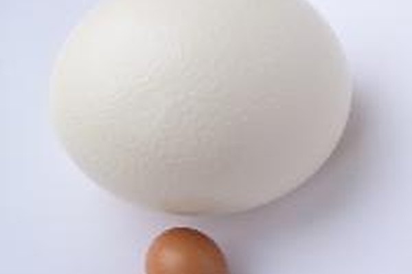 Envolver el huevo en la paja crea un colchón inicial.