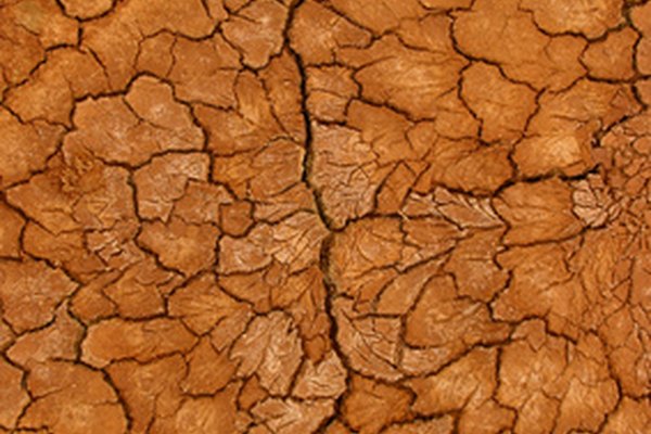 Las partículas de arcilla son muy pequeñas y ayudan a mantener la humedad del suelo.