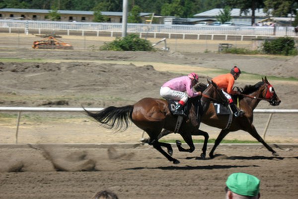 Caballos de carreras.