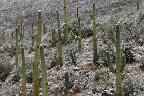 Algunas veces el tiempo puede salirse del rango típico del clima.