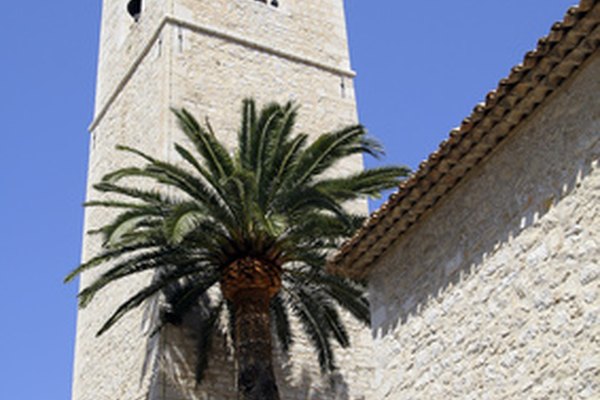 El árbol es el sujeto y se erguía en frente de la torre es el predicado completo.