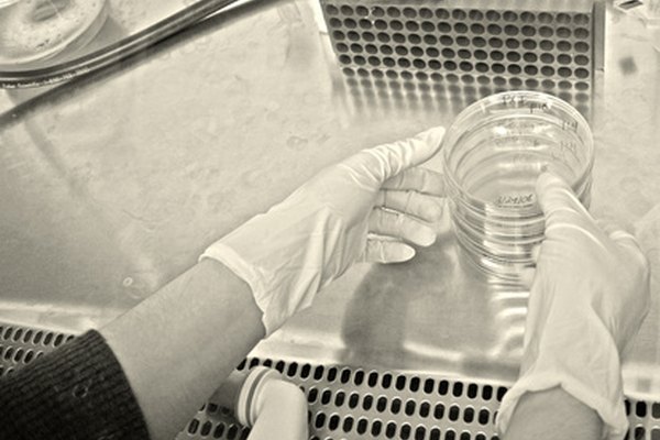 La investigación científica nos ayuda a entender el mundo que nos rodea.