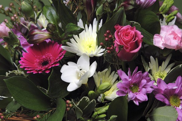 Reduce los costos mediante la compra de flores en el momento adecuado del año.