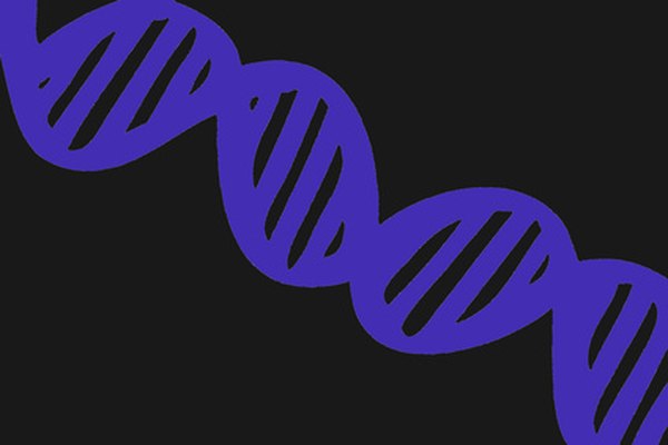 La extracción del ADN es una de las más modernas de las ciencias biológicas.