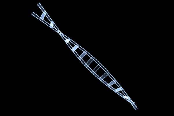 La extracción de ADN es un procedimiento importante de la biología molecular.