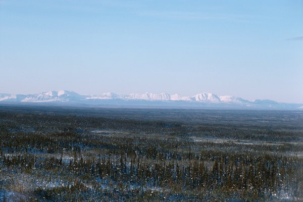 El ecosistema de la tundra tiene tres usos industriales.
