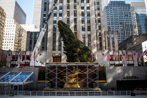 Hunt Valley también opera una excursión de temporada para ver la iluminación del árbol de Navidad en el Rockefeller Center y para asistir al Christmas Spectacular en el Radio City Music Hall.
