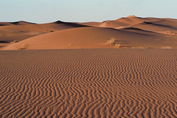 Aunque muchos lugares son llamados desiertos, la definición técnica requiere que la ubicación reciba menos de 19 pulgadas (47,5 centímetros) de precipitaciones al año.