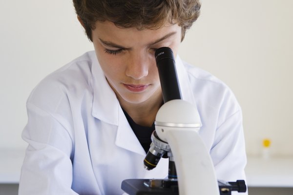 El mantenimiento y almacenamiento adecuado protegen al microscopio del polvo y la suciedad.