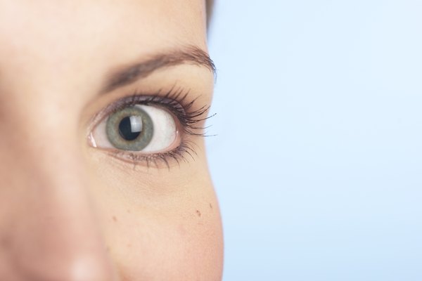 Las cejas destacan los ojos y el rostro.
