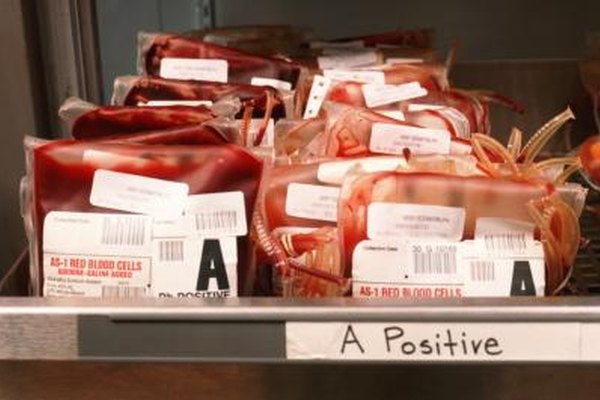 John Foxx/Stockbyte/Getty Images A los científicos laboratoristas que toman muestras y analizan sangre se les llama tecnólogos de banco de sangre.