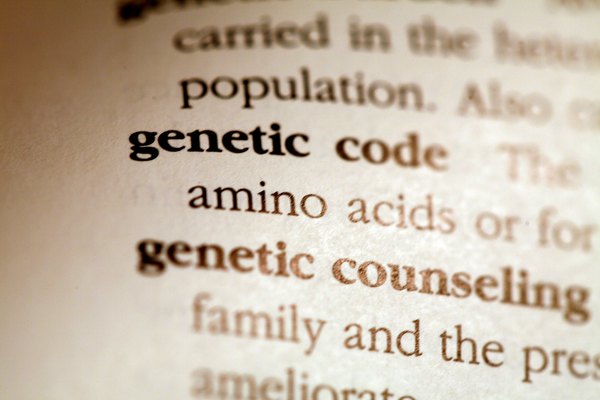 El código genético encontrado en ARNm es utilizado para formar proteínas.