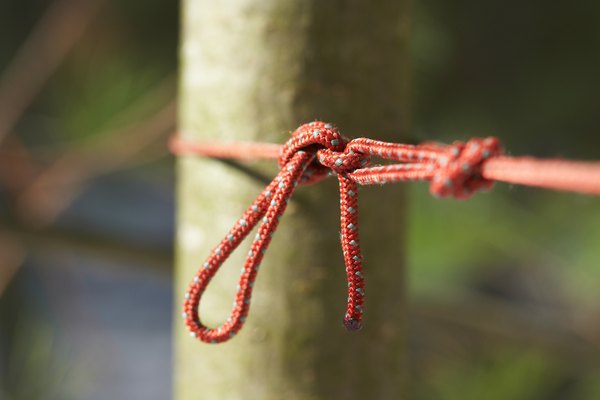 Nudos usados ​​para escalar los árboles.