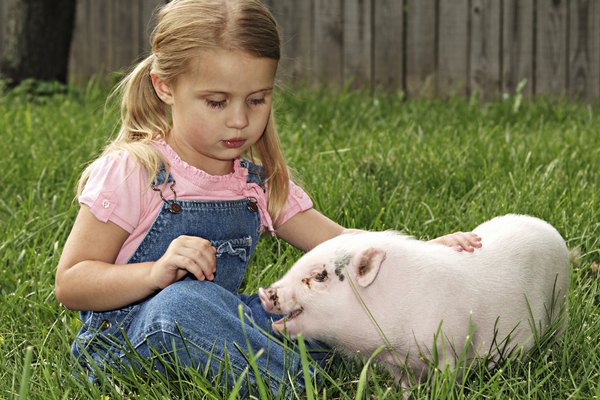 Una niña sentada en el césped con su cerdo.