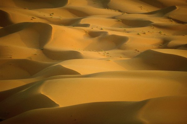 El Sahara, desértico.