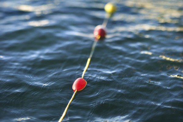 Las boyas flotan debido a que su densidad es menor que la del agua.