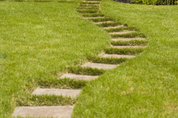 Un jardín.