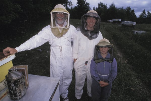 Si no tienes experiencia en apicultura usa un traje para protegerte de las picaduras de las abejas.