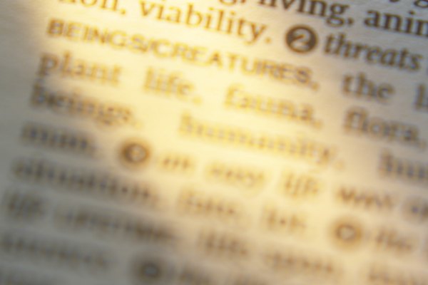 Adquiere la mayor cantidad de vocabulario.