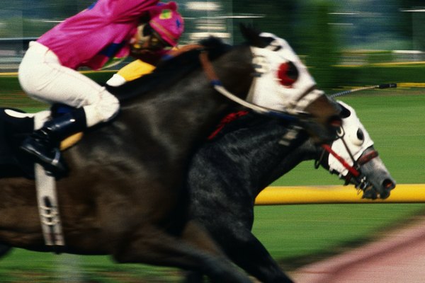 Los caballos de carreras usan anteojeras para centrar su atención en la tarea en cuestión.