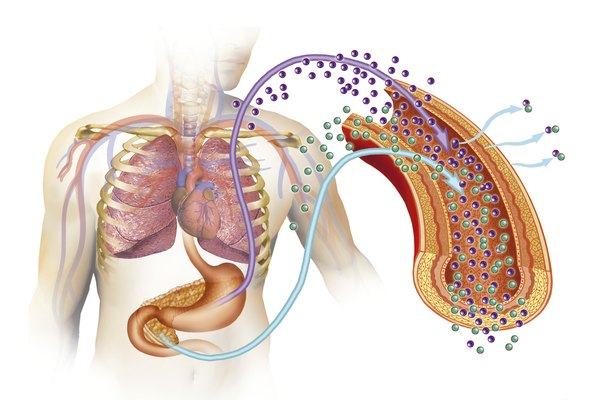 signs-symptoms-of-hypoglycemia-dehydration-healthy-living