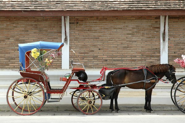 Wagons, Carriages, and Carryalls: Transportation During the