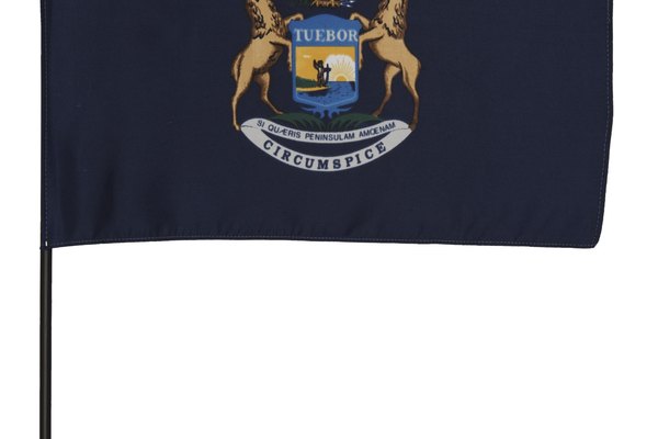 Michigan es el octavo estado más grande de los Estados Unidos.