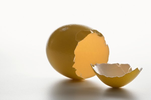 En lugar de tirar esas cáscaras de huevo, úsalas para tu obras de arte.