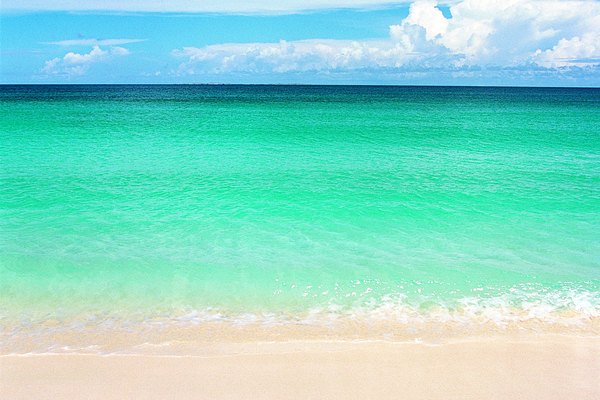 Una playa arenosa.