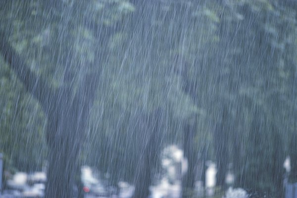 En circunstancias normales, se producen niveles menores de lixiviación con las precipitaciones típicas, y la descomposición de los materiales orgánicos en la superficie reabastece el suelo.