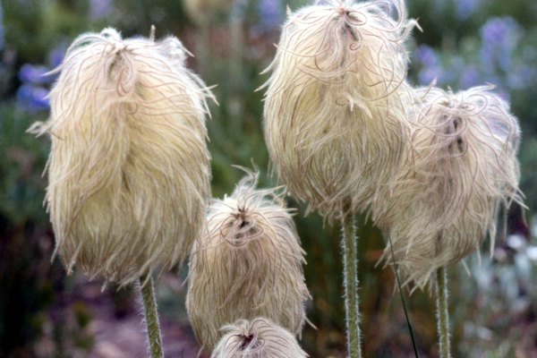 Repite este proceso con la otra horquilla y pompón.